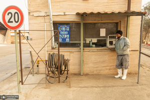 کارگران دامپروری؛ ستون‌های سلامت و آبادانی کشور