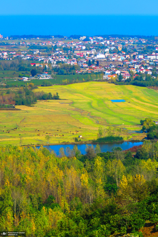 طبیعت روستای بزکویه