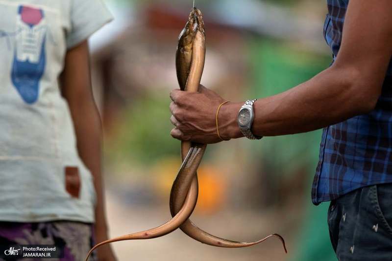 منتخب تصاویر امروز جهان- 3 آبان