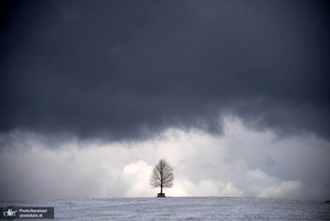 منتخب تصاویر امروز جهان- 22 آذر