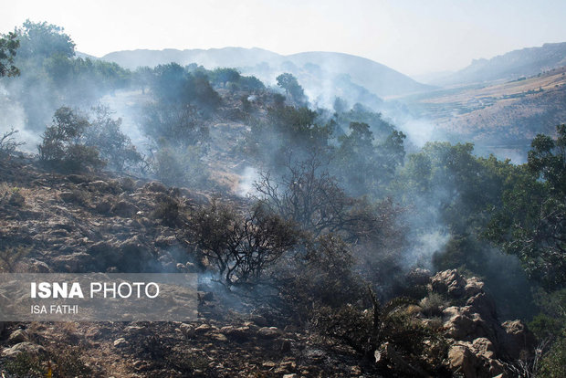 حدود 45 هکتار از مراتع نطنز در آتش سوخته است