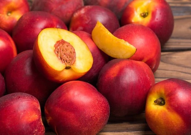 میوه‌ای بی‌نظیر برای تقویت کبد و تصفیه خون