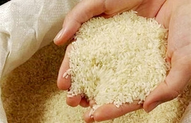 200 تن برنج در ایام نوروز در بروجرد توزیع می شود