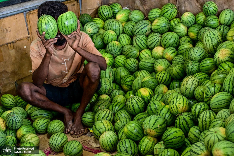 منتخب تصاویر امروز جهان - 1 اسفند 1403