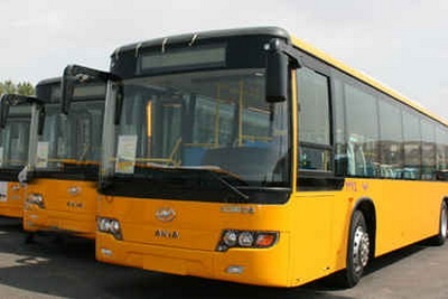 فعالیت بی وقفه300 دستگاه اتوبوس برای انتقال زائران ادامه دارد