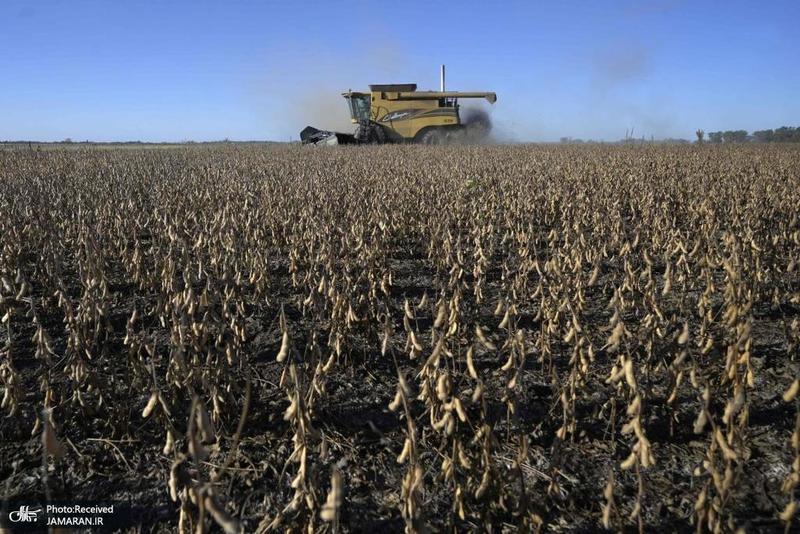 منتخب تصاویر امروز جهان - 16 اردیبهشت 1401