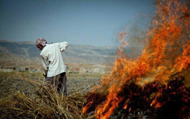 قاضی دادگستری در پاسارگاد فارس برای یک متهم حکم تهیه 2 مقاله علمی صادر کرد