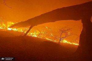 منتخب تصاویر امروز جهان- 27 دی