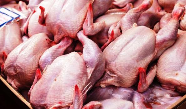 کشف یک هزار و 700 کیلوگرم ران مرغ غیر بهداشتی در شازند