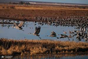 منتخب تصاویر امروز جهان- 17 دی