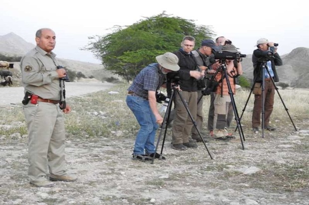 12پرنده نگر اروپایی از منطقه حفاظت شده خائیز دیدن کردند