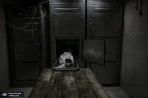 منتخب تصاویر امروز جهان- 31 اردیبهشت 1400