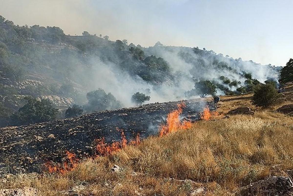 فیلم/ آتش شبانه جنگل های زاگرس در گچساران را بلعید/ تقاضای فعالان حاضر در منطقه از نیروهای نظامی برای کمک به اطفای حریق