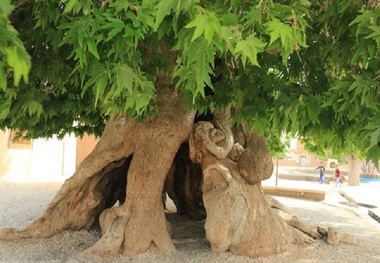 سه اثر طبیعی آذربایجان شرقی در فهرست میراث ملی ثبت شد