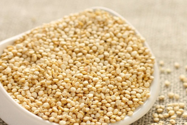 کینوا محصولی که کشاورزی خراسان شمالی را متحول می کند