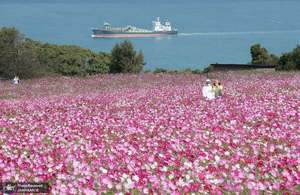 منتخب تصاویر امروز جهان- 25 مهر