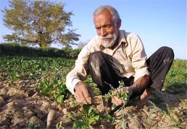 120هزار خانوار روستایی در لرستان فاقد بیمه هستند