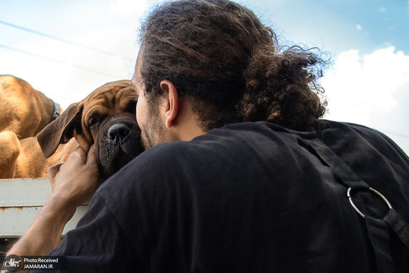 منتخب تصاویر امروز جهان- 12 مرداد