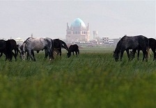 چمن طبیعی سلطانیه احیا می‌شود