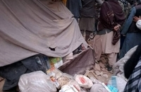 تصاویری از زلزله بزرگ در شمال افغانستان (7)