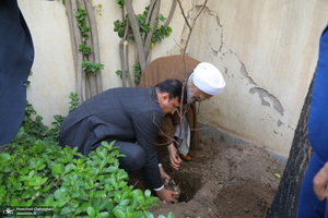 کاشت نهال توسط آیت الله العظمی جوادی آملی در هفته درختکاری