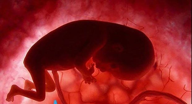 کاهش ۱۹ درصدی مجوز سقط درمانی در آذربایجان‌شرقی