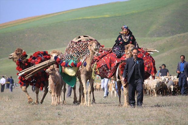 توجه و تاکید دولت بر تامین حقوق عشایر محدوده کشت و صنعت مغان