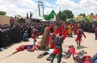 مراسم نمادین روز عاشورا در نیجریه (4)