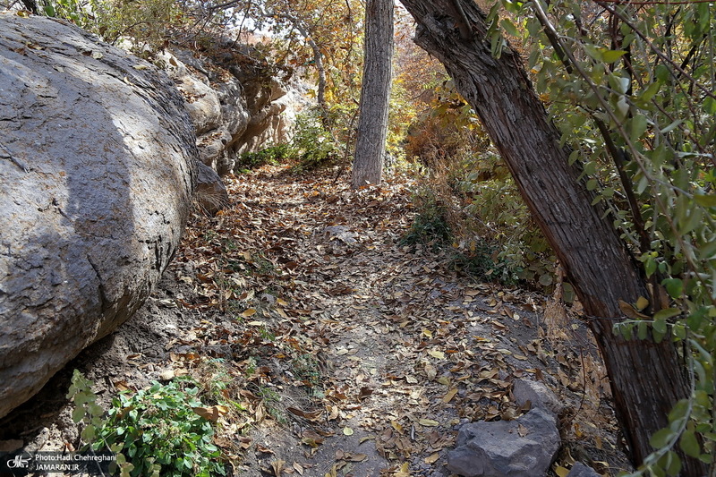 طبیعت پاییزی روستای اَوِل قم