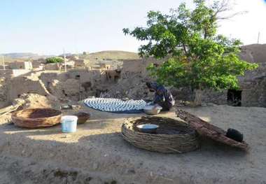 رونق تلم زنی در روستاهای سبزدشت بافق