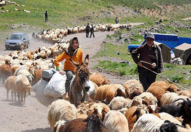 ۱۸ هزار جمعیت عشایری الیگودرز غربالگری کرونا می‌شوند