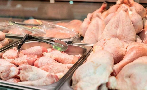 ۵۰۰ تن گوشت مرغ در اردبیل خریداری و ذخیره می‌شود