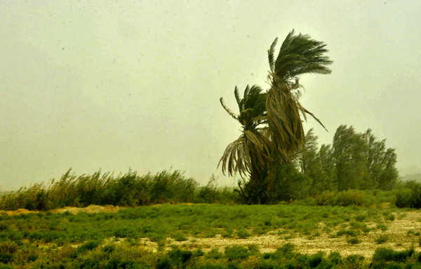 سرعت وزش باد در شمال سیستان و بلوچستان 63 کیلومتر بر ساعت