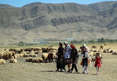 700 خانوار روستایی خراسان شمالی بیمه تامین اجتماعی شدند