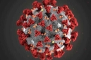 33 جهش کرونا ویروس/ مرگبارترین کووید 19 در اروپا