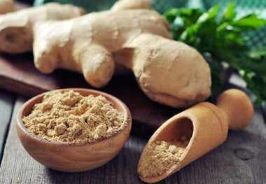این گیاهان دارویی سرگیجه را ضربه فنی می‌کنند!
