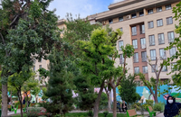 جزییات ایجاد «پارک مادر و کودک» در تهران (8)