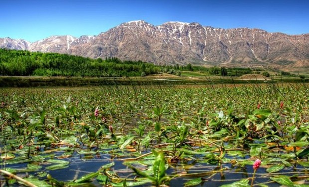 چهارمحال و بختیاری با آب وهوای مطبوع میزبان گردشگران