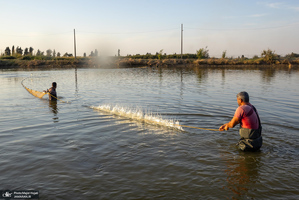 پرورش ماهی در آزادشهر استان گلستان