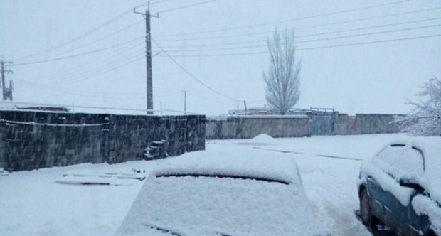 بارش های سنگین در دهگلان خسارت نداشته است