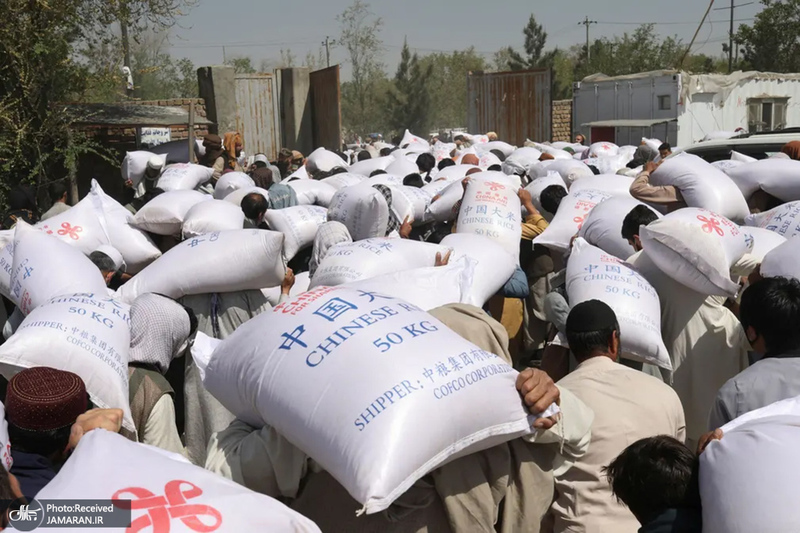 منتخب تصاویر امروز جهان - 19 فروردین 1401