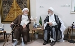 مهدی کروبی به دیدار آیت الله بیات زنجانی رفت + عکس