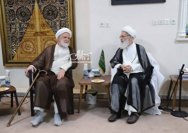 مهدی کروبی به دیدار آیت الله بیات زنجانی رفت + عکس