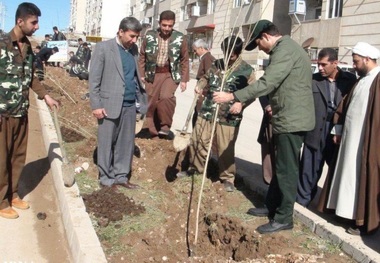 200 اصله نهال در محوطه مسکن مهر جوانرود غرس شد