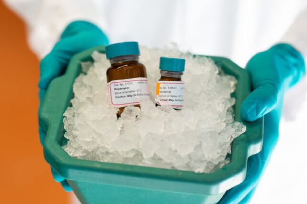 آزمایش موفق داروی ضد پیری روی موش‌ها
