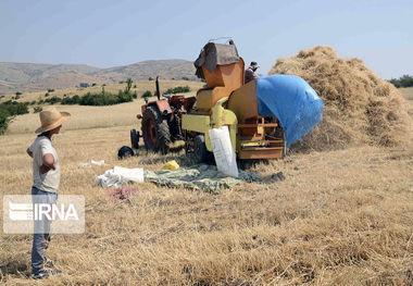 بسترهای ایجاد اشتغال شهرستان مرزی راز و جرگلان در بوته نقد و بررسی