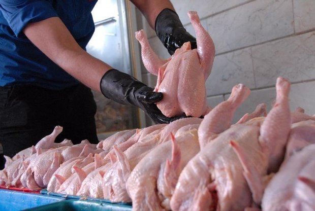 قیمت مرغ در اهواز 30 درصد کاهش یافت