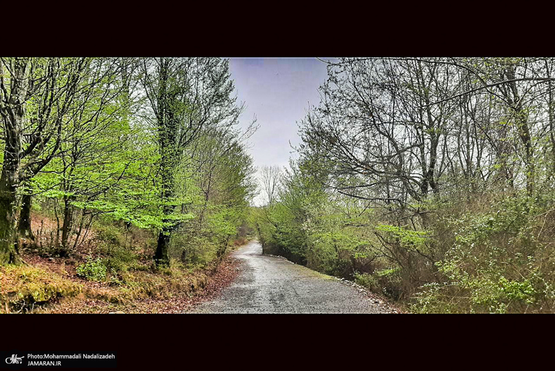 دریاچه آویدر نوشهر