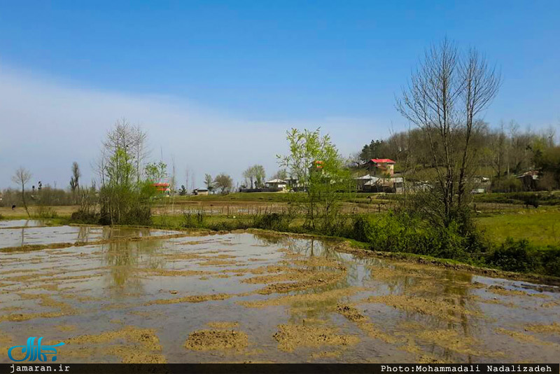 طبیعت رویایی ماسال گیلان