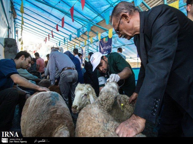 نظارت بر ذبح دام در ورامین و قرچک انجام می شود